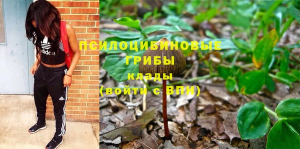 ешки Богородицк