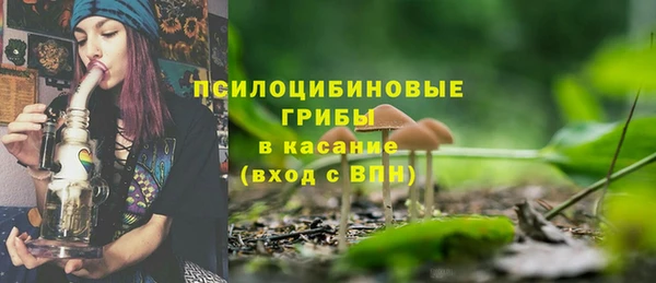 метамфетамин Богданович